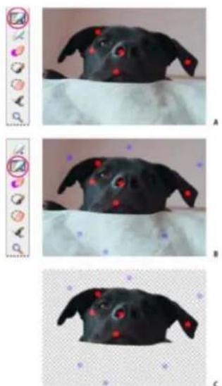 ADOBE Photoshop Elements 11 - Use the Magic Extractor - 1