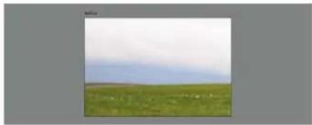 ADOBE Photoshop Elements 11 - Photomerge Style Match - 4