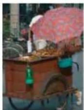 ADOBE Photoshop Elements 11 - Adjust saturation in isolated areas - 1