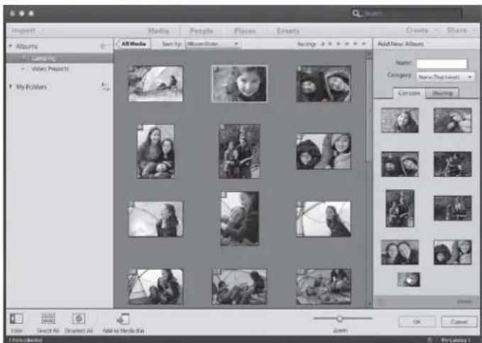 ADOBE Photoshop Elements 11 - Create an album - 1