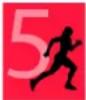 POLAR RCX3 GPS Dames - Polar sport zones - 1