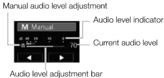CANON XA10 Pro HD - Using the Built-in Microphone or Microphone Connected to the MIC Terminal - 1