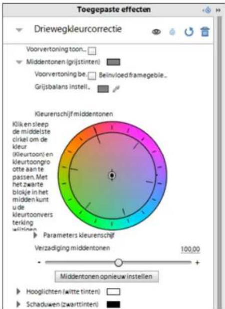 ADOBE Premiere Elements 11 - Driewegkleurcorrectie - 1