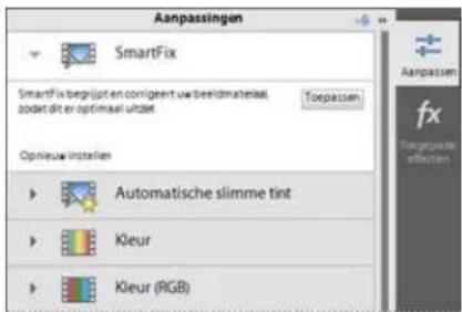 ADOBE Premiere Elements 11 - Deelvenster Aanpassen - 1