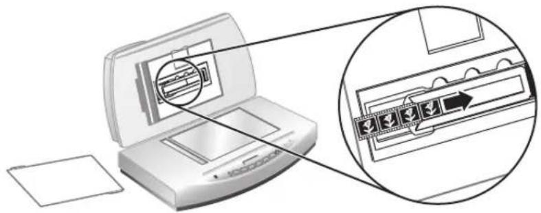 HP ScanJet 8270 - Negatif tarama - 3