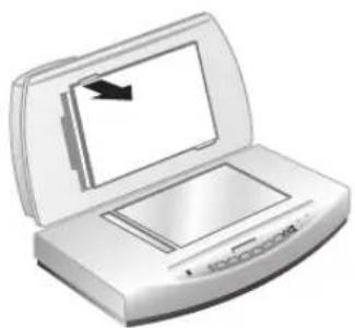 HP ScanJet 8270 - Scanarea negativelor - 1