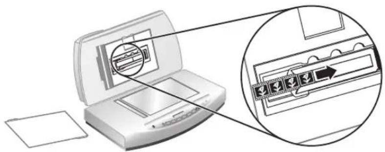 HP ScanJet 8270 - Skeniranje negativa - 3