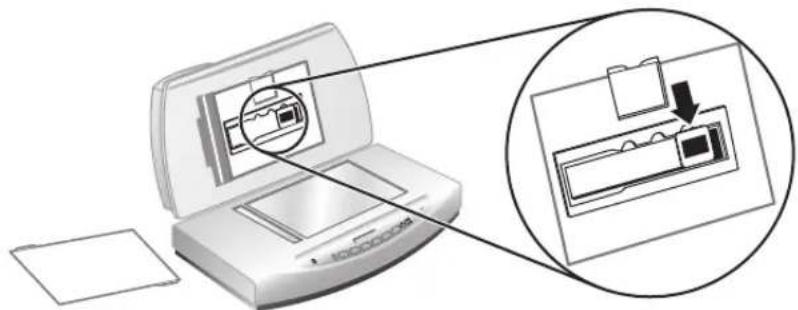 HP ScanJet 8270 - Skenování diapozitivů - 3