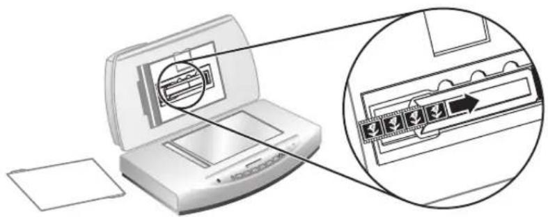 HP ScanJet 8270 - Skenovanie negatívov - 3