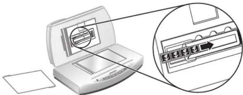 HP ScanJet 8270 - Skenování negativů - 3