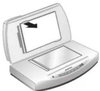 HP ScanJet 8270 - Skanowanie negatywów - 1