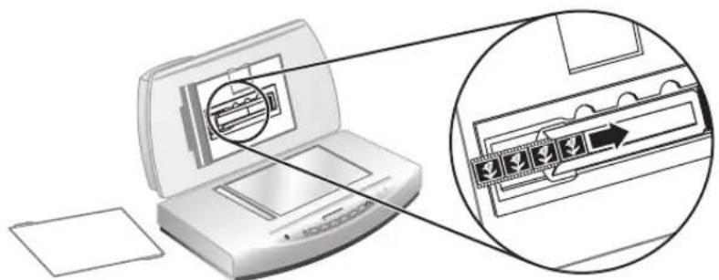 HP ScanJet 8270 - Scanarea negativelor - 3