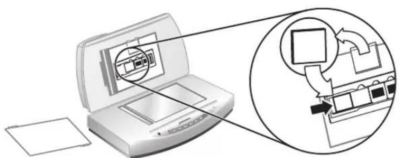 HP ScanJet 8270 - Skenování diapozitivů - 5