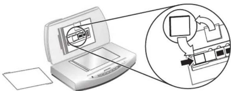 HP ScanJet 8270 - Kopírovanie pomocou automatického podávača dokumentov - 2