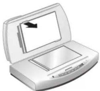 HP ScanJet 8270 - Negatívok beolvasása - 1
