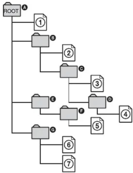 SONY DAV-DZ210D - ■ Structure of disc contents - 1