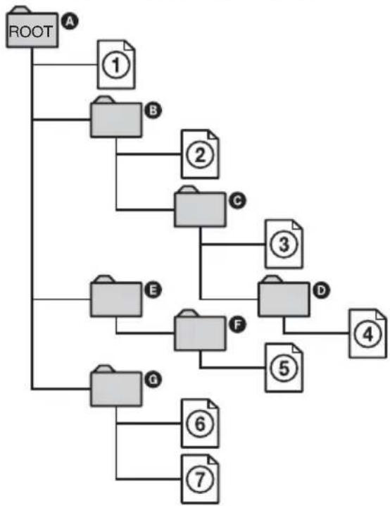 SONY RDR-GXD360 - Structure of disc contents - 1