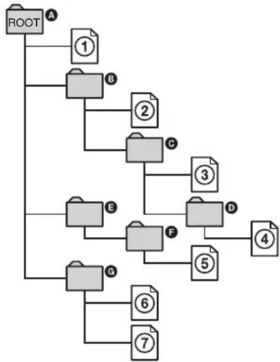 SONY RDR-HXD560 - Structure of disc contents - 1