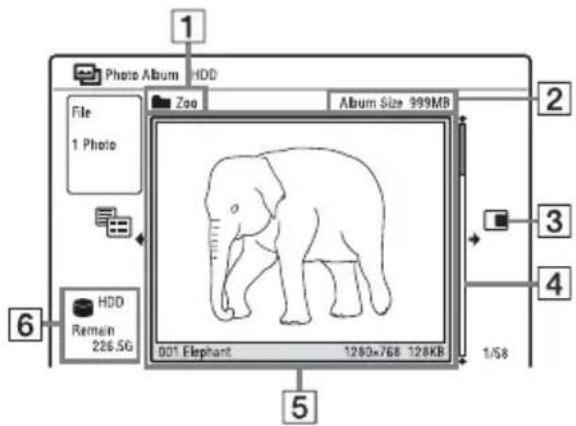 1 Photo Album HDD File 1 Photo Zoo Album Size 999MB 2 3 4 6 HDD Remain 226.5G 001 Elephant 1280x768 128KB 1/58 5