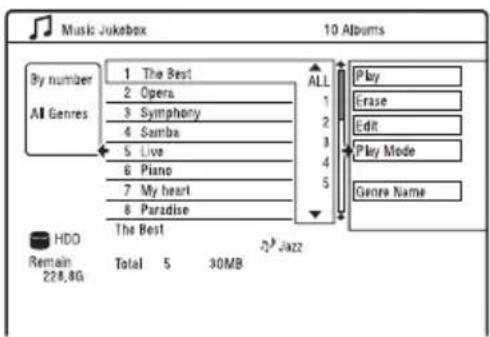 Music Jukebox 10 Albums By number All Genres 1 The Best 2 Opera 3 Symphony 4 Samba 5 Live 6 Piano 7 My heart 8 Paradise The Best ALL 1 2 3 4 5 Play Erase Edit Play Mode Genre Name HDO Remain 228.8G Total 5 30MB