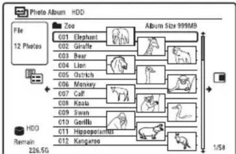 Photo Album HDD File 12 Photos Zoo 001 Elephant 002 Giraffe 003 Bear 004 Lion 005 Ostrich 006 Monkey 007 Calf 008 Koota 009 Swan 010 Gorilla 011 Hippopotamus 012 Kangaroo Album Size 999MB HDD Remain 226.5G 1/58