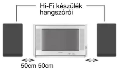 Hi-Fi készülék hangszórói 50cm 50cm