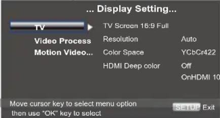 TOSHIBA BDX3100KE - Display Setting - 1