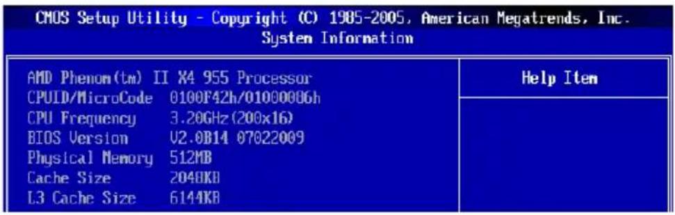 MSI 760GM-E51 FX - ▶ System Information - 1