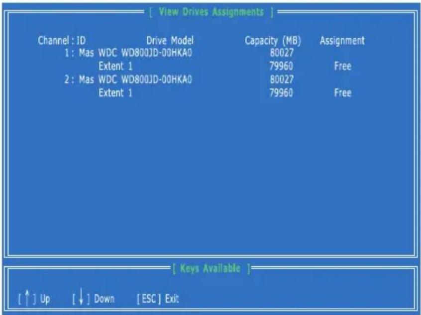 MSI 760GM-E51 FX - View Drives Assignments - 1