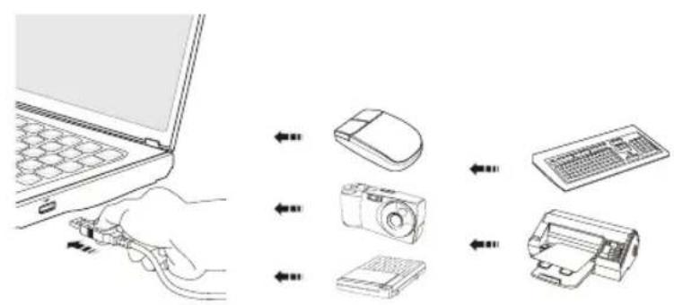 MSI GT780DXR - Connecting the USB devices - 1