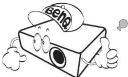 BENQ MX501 - Safety Instructions - 3