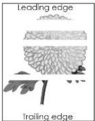 LEXMARK MS510dn - Horizontal voids appear on prints - 1