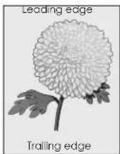 LEXMARK MS811dn - Gray background on prints - 2