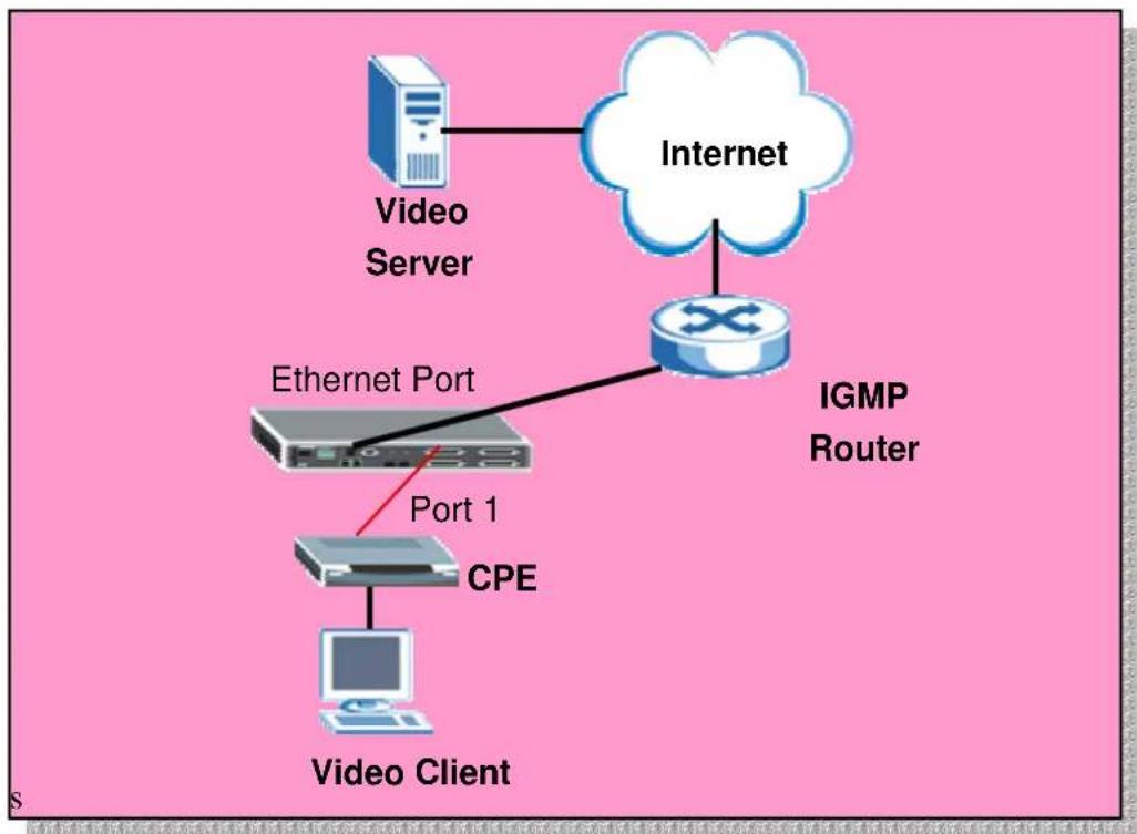 ZYXEL IES-1248-51A ADSL 2+ - Setting up the IGMP Snooping/IGMP Filtering - 1