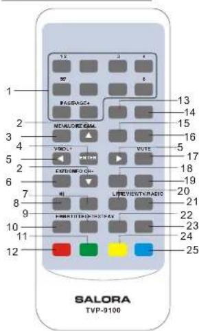 SALORA TVP9100 - Functional Overview - 2