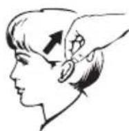 BEURER FT 55 - Measuring in the ear - 1