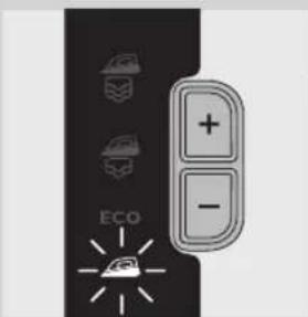 + - ECO
