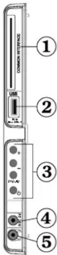 SALORA 22LED7000T - Affi chage des branchements - Connecteurs latéraux - 1