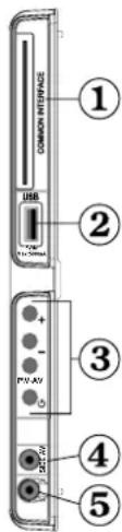 SALORA 22LED7005TD - Affi chage des branchements - Connecteurs latéraux - 1