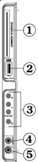 SALORA 19LED7000T - Viewing the Connections - Side Connectors - 1