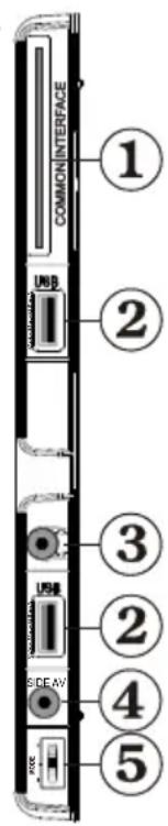 SALORA 46LED7110CW - Viewing the Connections - Side Connectors - 1