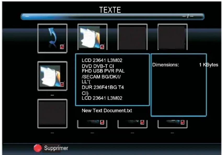 SALORA 32LED6105CD - TEXTE - 2