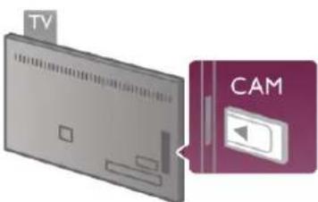 TV CAM