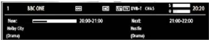 SALORA 19LED7010TW - On-Screen Information - 1