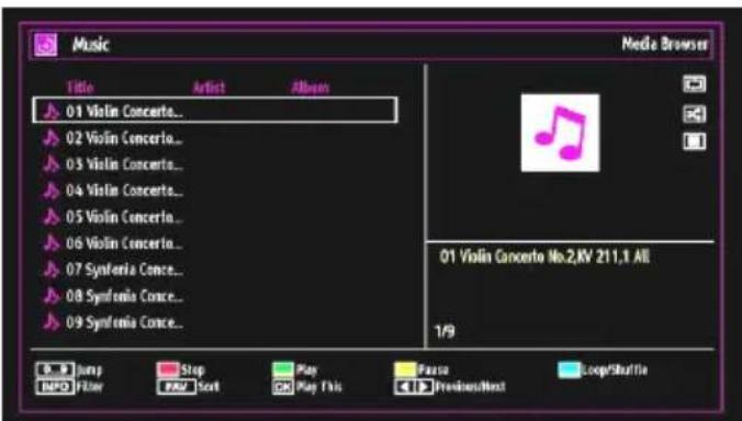 SALORA 19LED7010TW - Viewing Music via USB - 1
