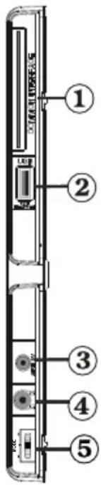 SALORA 19LED7010TW - Viewing the Connections - Side Connectors - 1