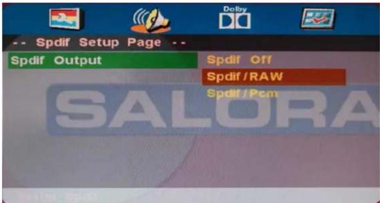 SALORA LED1938DVX - Spdif Output - 1