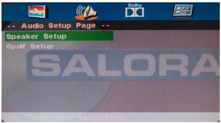 SALORA LED1938DVX - DVD bediening - 1