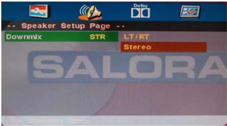 SALORA LED1938DVX - - Stereo - 1