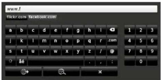 SALORA 40LED8100CS - Internet Browser - 4